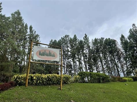 bukidnon resort|Dahilayan Gardens and Resort.